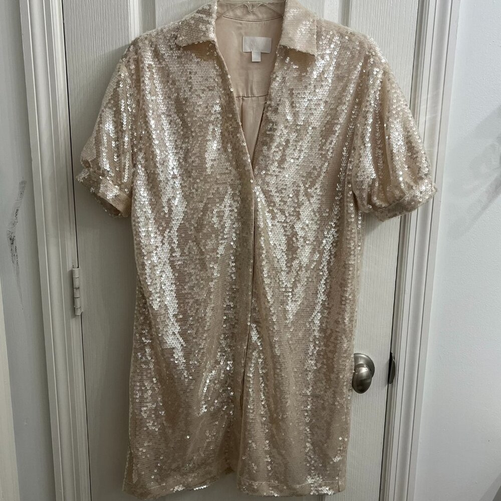 Sequined Dress - Every Brand size XS - Fits like a medium